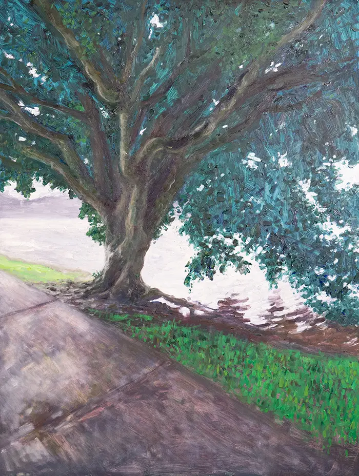 Dan Scott, Ville de Brisbane, Lumière blanche, 2022