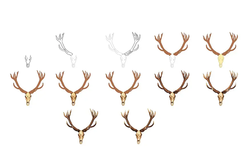 Collage de crâne de cerf
