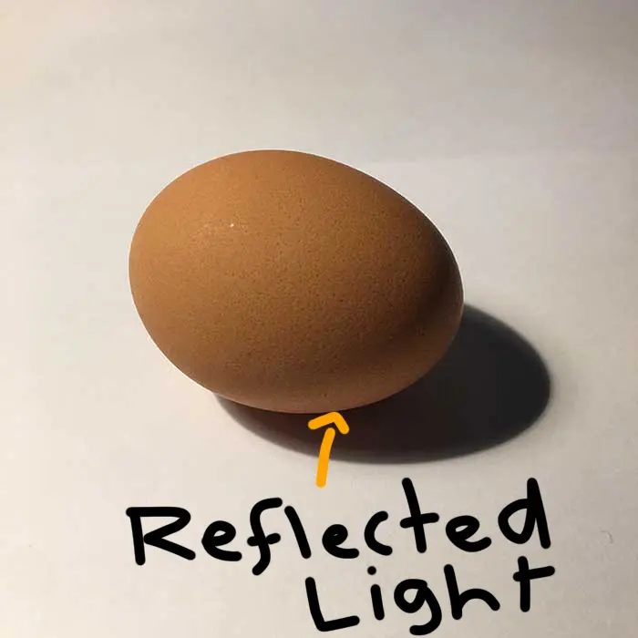 Photo d'oeuf - lumière réfléchie