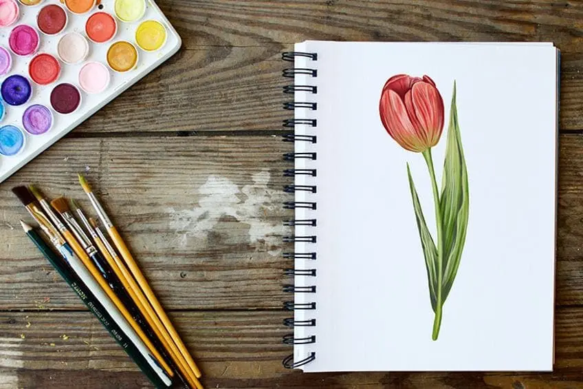 Comment dessiner une tulipe – Un tutoriel de dessin de tulipe réaliste