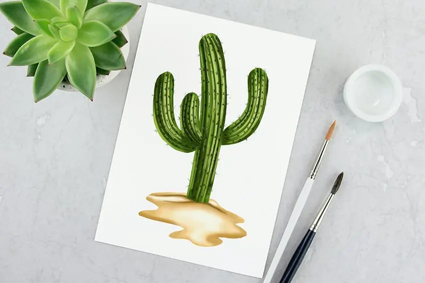 Comment dessiner un cactus – Un dessin de cactus réaliste étape par étape