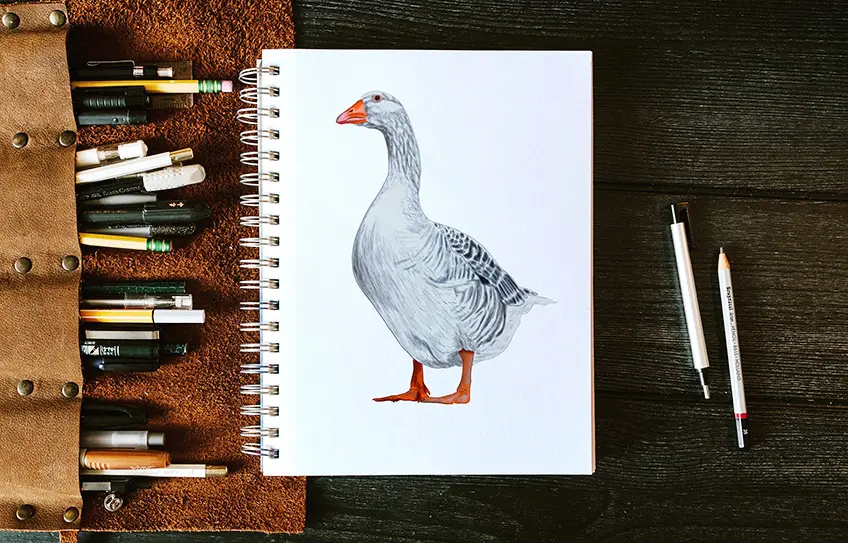 Comment dessiner une oie – Un didacticiel d’illustration d’oie étape par étape