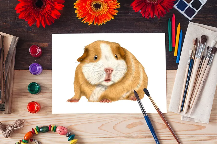 Comment dessiner un cochon d’Inde – Explorer la perspective dans un croquis de cochon d’Inde