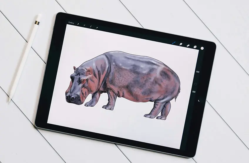 Comment dessiner un hippopotame – Un tutoriel détaillé de croquis d’hippopotame étape par étape