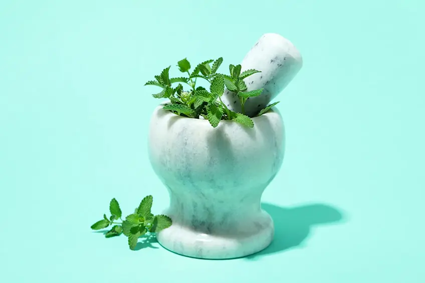 Couleur vert menthe – Comment créer une palette de couleurs menthe
