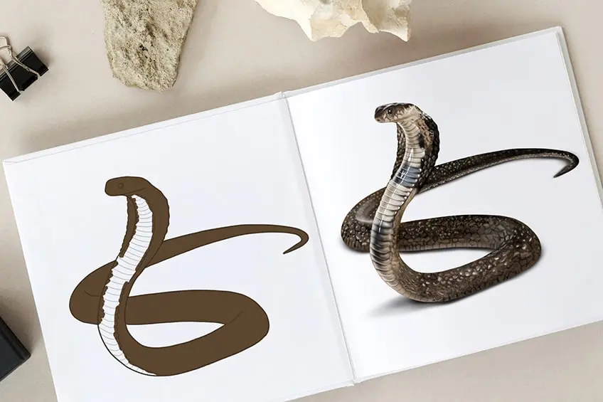 Comment dessiner un serpent – Un dessin de serpent amusant et facile