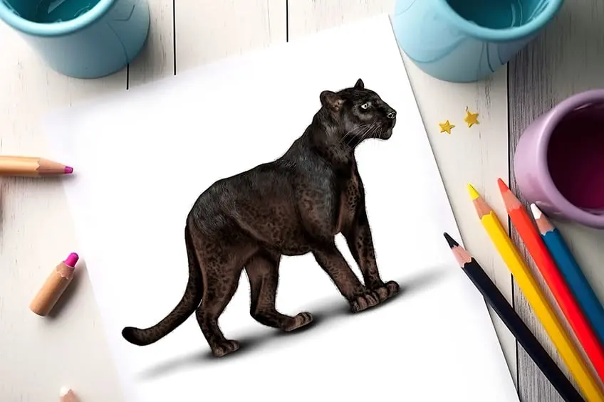 Comment dessiner une panthère noire – Dessiner une panthère noire furtive