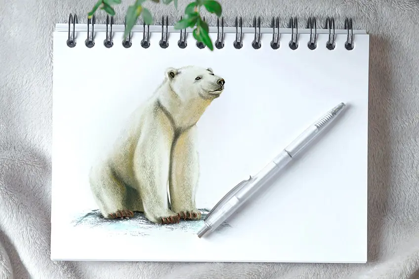 Comment dessiner un ours polaire – Dessinez un ours polaire mignon et câlin