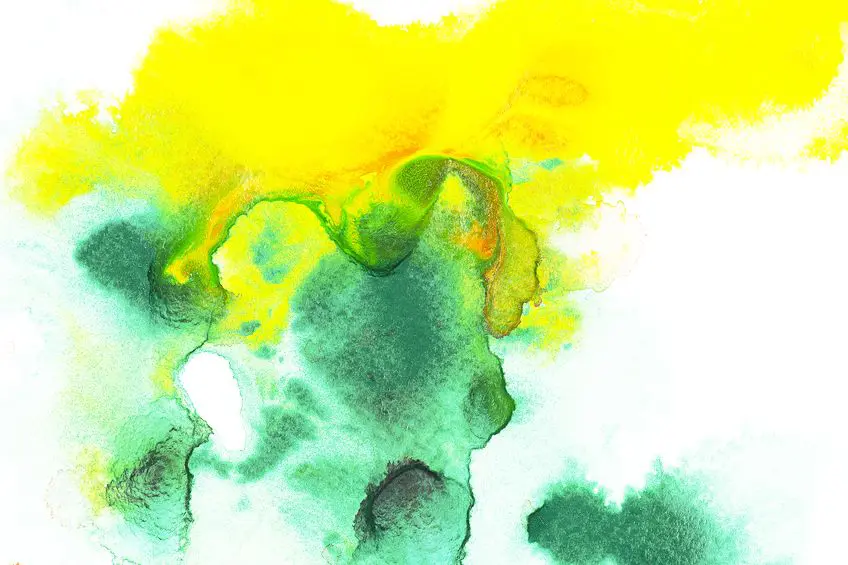 Que font le vert et le jaune ?  – Mélanger le vert et le jaune