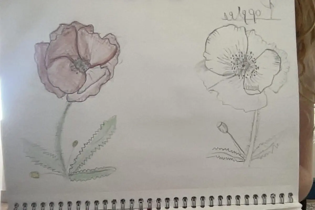 Comment dessiner quelqu’un : Techniques et astuces pour capturer l’essence d’une personne