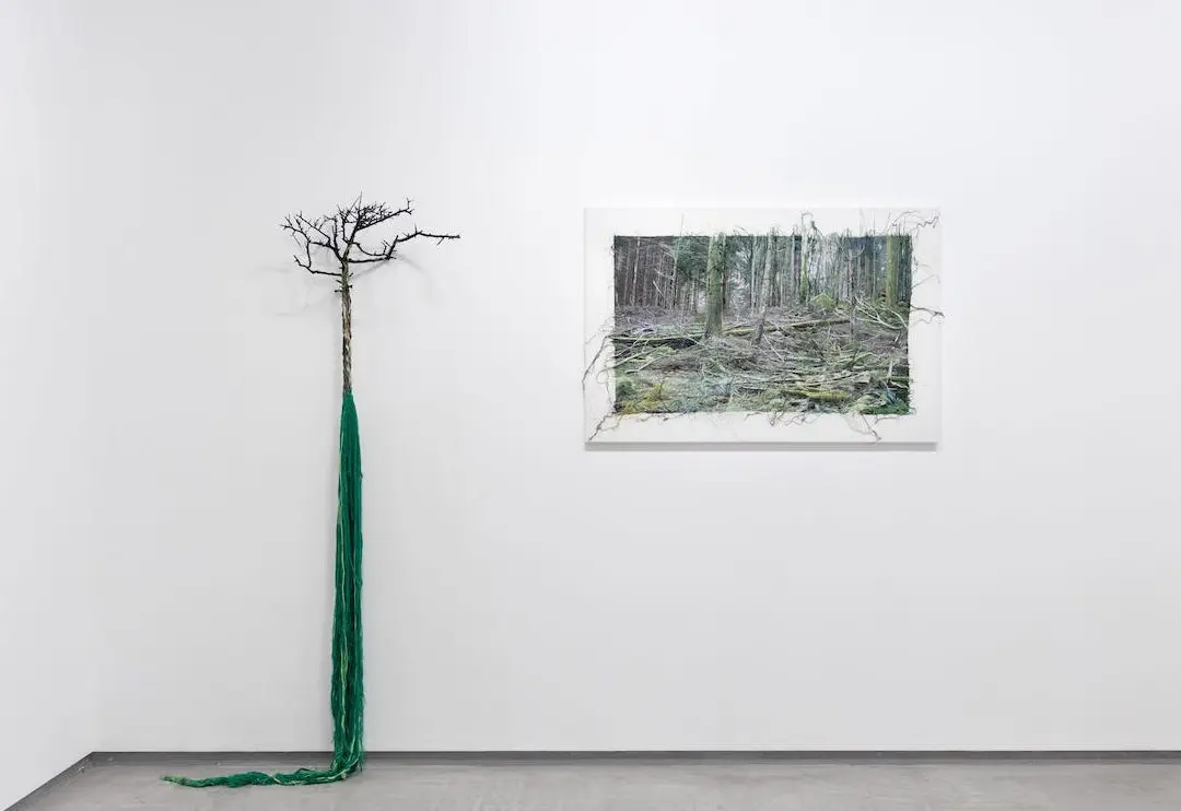 Expérimentez l’art de mélanger le gesso et la peinture acrylique pour des résultats époustouflants !