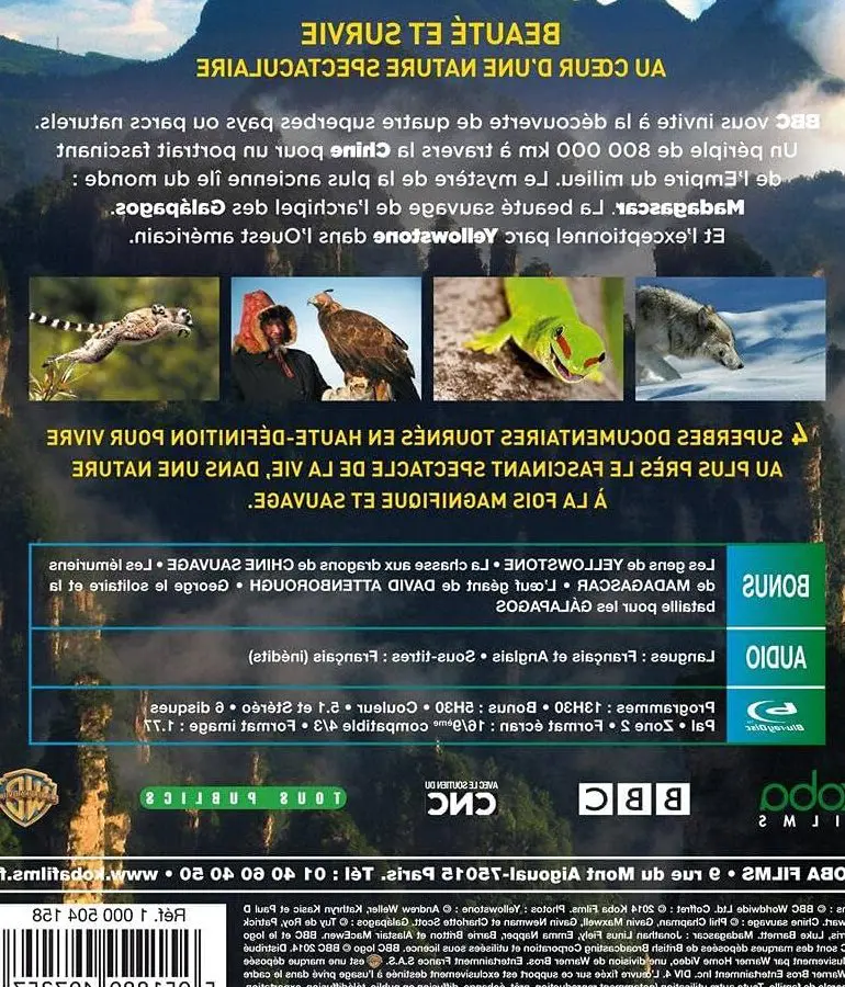 La beauté sauvage capturée : l’art de la peinture animalière