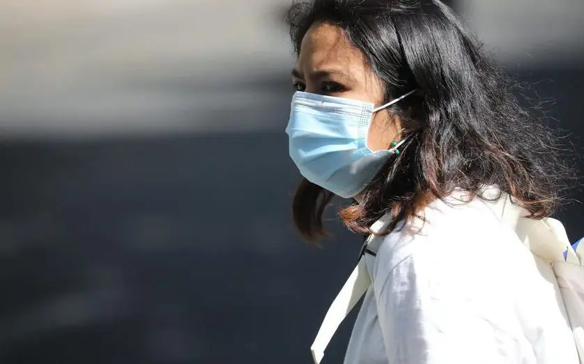 Les indispensables : tout savoir sur les pinceaux de peintre