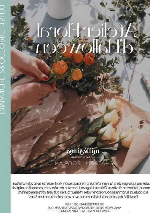 Plongez dans l’univers des couleurs : Découvrez nos cours de couleurs inspirants