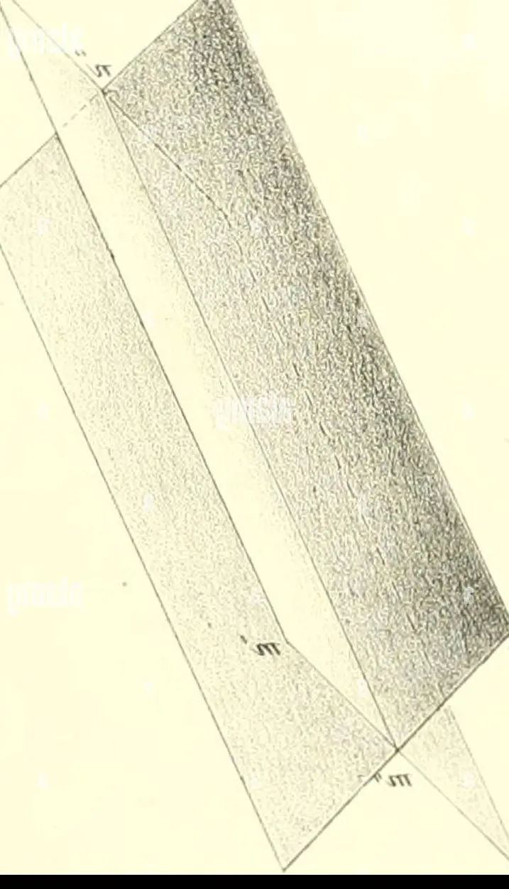 Bimi en Couleurs : L’Explosion Créative dans la Peinture Contemporaine