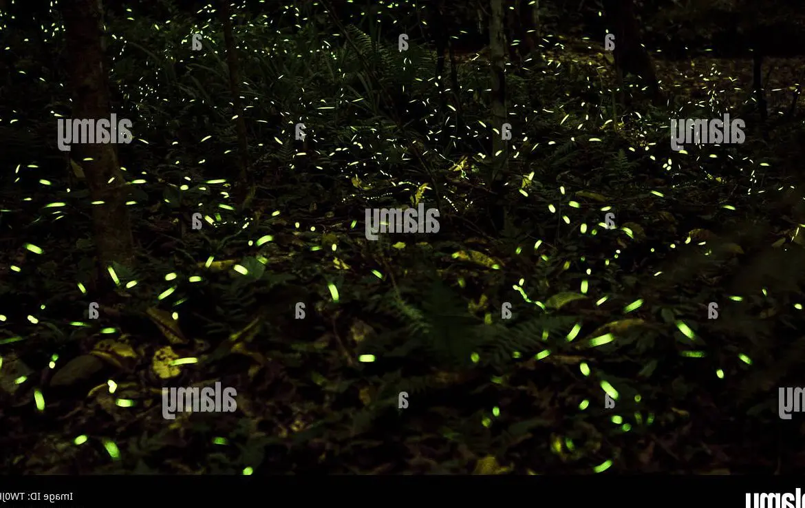 Fireflies.ia : Lumière sur la Révolution Numérique dans l’Art de la Peinture