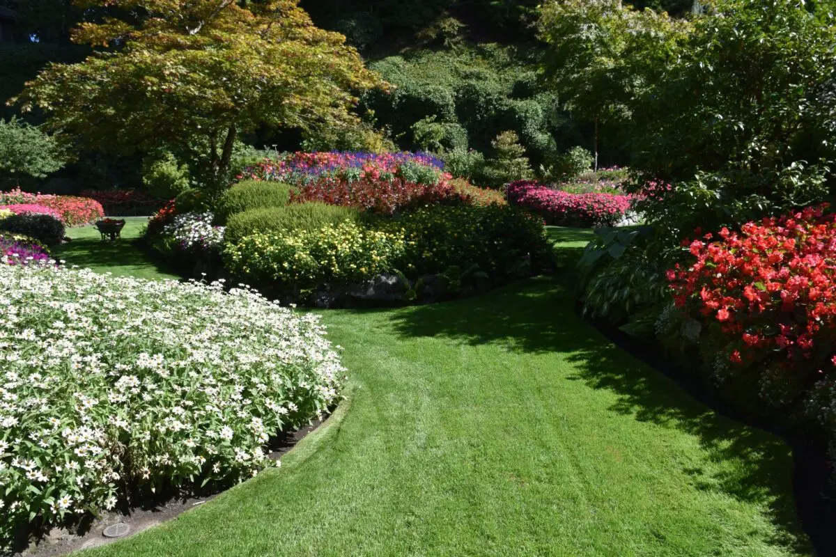 Où dénicher les meilleurs bons plans de jardinage en Loire-Atlantique ?