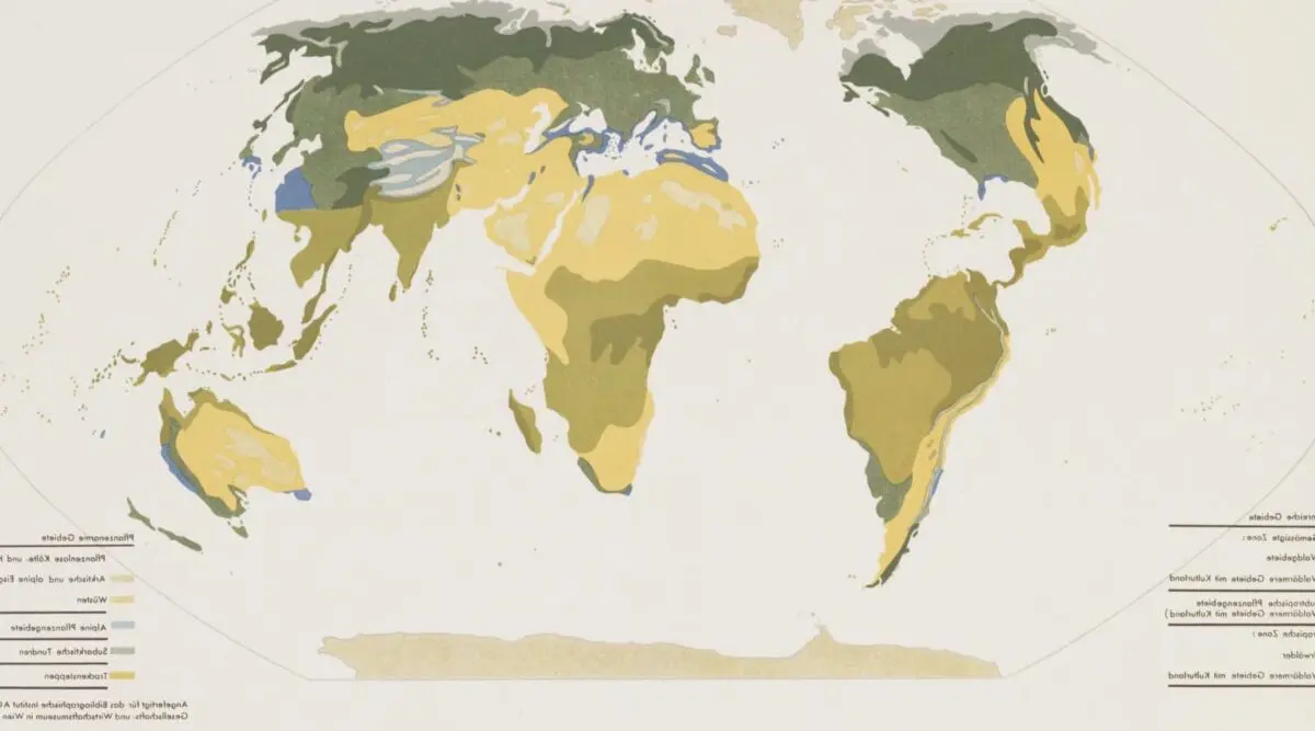 Les alternatives à la notion classique de la peinture : Exploration et innovation