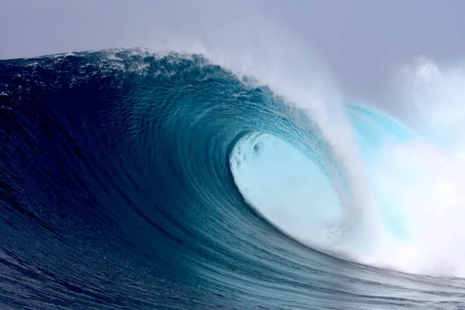 Surfez sur la vague numérique: Découvrez le meilleur logiciel pour les artistes peintres