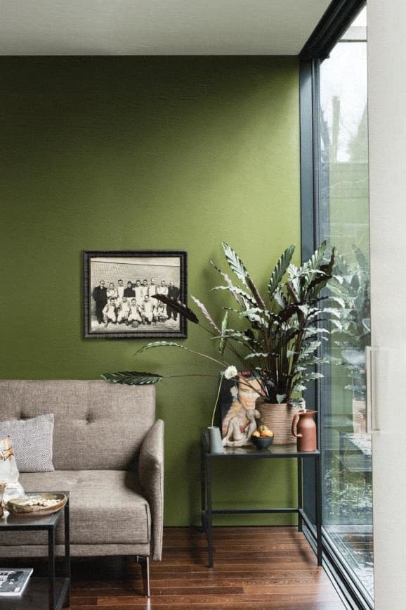 Pourquoi le vert olive s’impose-t-il comme une couleur tendance pour la décoration d’intérieur ?