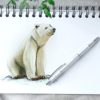 Comment dessiner un ours polaire – Dessinez un ours polaire mignon et câlin
