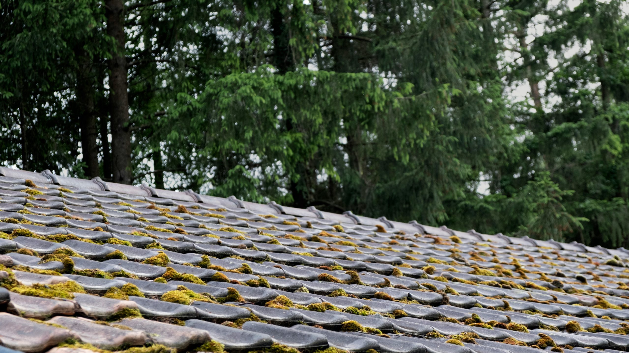 découvrez nos solutions de revêtement de terrasse pour un aménagement extérieur sur mesure avec notre gamme de carrelage pour terrasse.